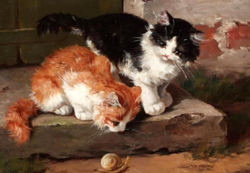 Pintura al óleo DIY de dos gatitos el regalo ideal para aficionados