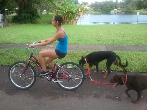 K9 Cruiser Bicycle Leash Components