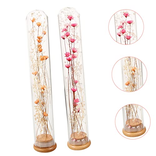 Everlasting Flower Wishing Vase 2pcs Dried Bouquet en Botella miniatura 4
