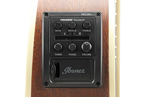 Ibanez AEWC12-RGF Rose Gold Metallic Flat – Guitare Acoustique - Les Beatles, Paul McCartney, John Lennon, RIngo Starr, George Harrison Ibanez AEWC12-RGF Rose Gold Metallic Flat - Guitare Acoustique – Image 6