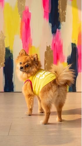 Image of CutiePaw T-Shirt for Dogs and Cats (Pack of 1) | Printed Pet T-Shirts | Dog T Shirts | Trendy Vest | Sleeveless Cotton Tshirt | Comfortable & Breathable Pet Clothing | Summer Tshirts for Dogs and Cats