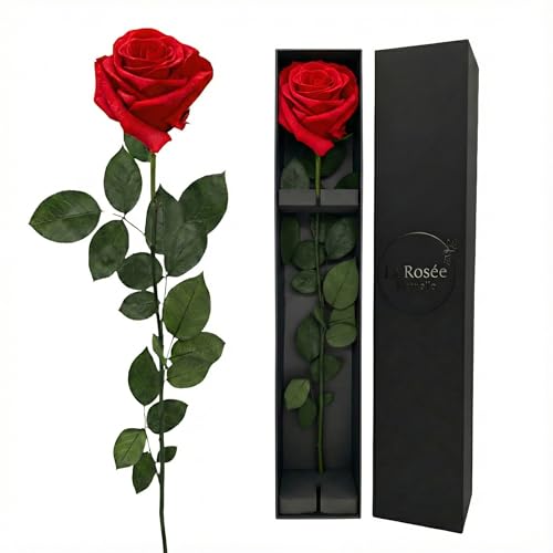 LA ROSEE ETERNELLE Rosa Eterna Perfumada con Tallo Largo – Rosa...