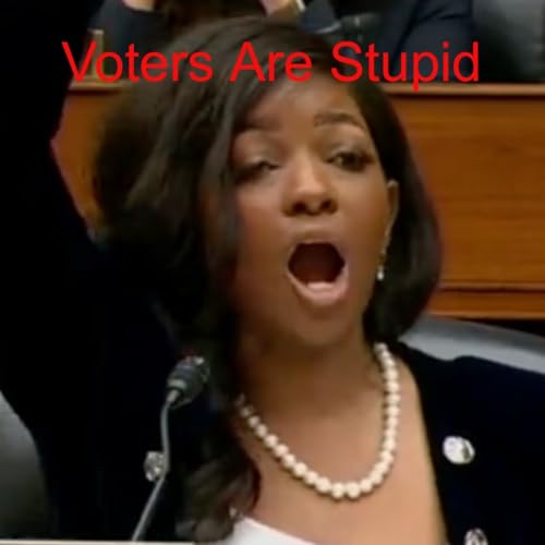 Voters Are Stupid Podcast Por  arte de portada