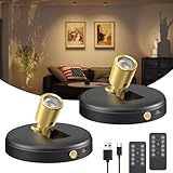 Spot Lights Indoor Led Spotlight: Rechargeable Battery Wireless Up Lights Indoor - Plants Tree Artwork Portrait Picture Display Accent Lighting for Home Decorators Homeowners Art Collectors(2 Pack)