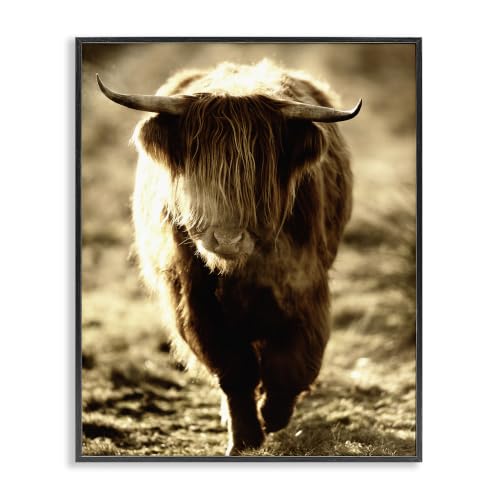 Highland Longhorn Cattle Countryside, 24 x 30 Inch Framed Giclée Print