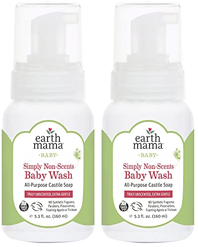Earth Mama Simply Non-Scents Foaming Hand Soap | All-Purpose Castile Body Wash, 5.3-Fluid Ounce (2-Pack)