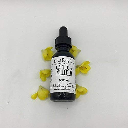 Miniatura 4 de Garlic and Mullein Ear Oil, 1 fluid ounce, For Ear Issues Rooted Earth Farm