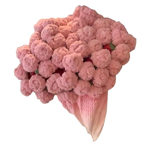 Duvcoywae Kit de Ganchillo para Principiantes - Fácil de Aprender con Instrucciones | Manta de Ganchillo Ramo para Principiantes,Para Mujeres Abuela Sofá Dormitorio Oficina Cumpleaños Navidad Boda