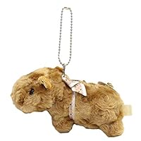 Amazon | ファミリアマム オルゴール レッサーパンダ | オルゴール