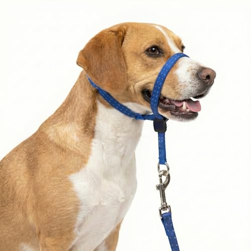 PupSensei Headcollar for Dogs Extra Soft Padded Reflective No Pull Dog Collar Gentle Leader for Dogs with Durable Nylon Leash Padded Handle - Navy Blue (Medium)