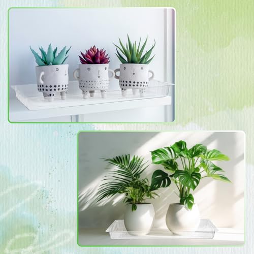 Silifine DUI-SILIFINE-177 20 Pcs Clear Plastic Plant Saucer Rectangular Plant Drip Trays Transparent Thick Heavy Duty Plastic Liners thumb #4
