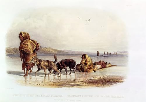 Tableaux Graffiti Art Mural Mandan Karl Bodmer Impression 60x90cm