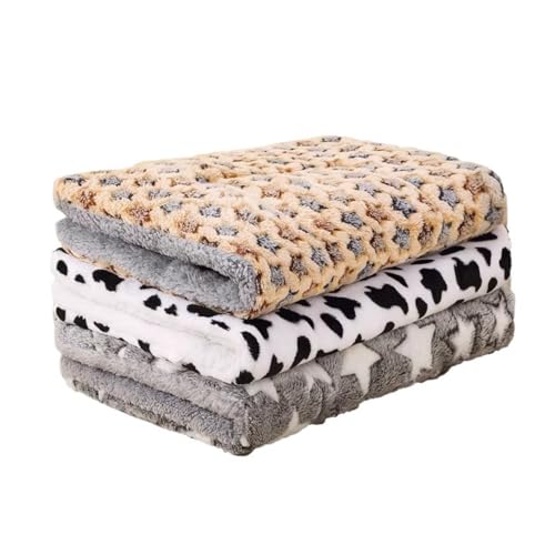 Smedic Lpxbhѕz ~GۉpybgpQ pxbhpi LpEpѕz lGΉ _炩ѕzt @ׂȑfނŌ`ꂵɂ (STCYy37×29cmz)