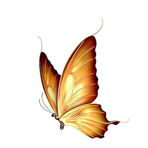 Auto Stickers En Stickers Dloemen 12.3 Cm * 16.2 Cm Cartoon Dromerige Vlinder Decal Pvc Motorfiets Auto Sticker: