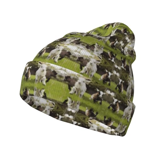 Bonnet tricoté mignon adulte pour l'escalade hivernale et les activités de plein air en hiver