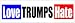 CAR MAGNET: Love Trumps Hate. 3" x 10" Professional Vinyl Print