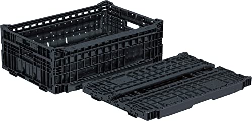 BoA SKECHERS BoAモデルポスター5枚セット2000年初期貴重 NEWS[2014.03