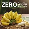 Organic Sun Dried Bananas Value Pack - No Sugar Added - No Preservatives - Unsulfured - Soft and Chewy Little Bananas - Thai Natural Fruit Snacks - 2 LB
