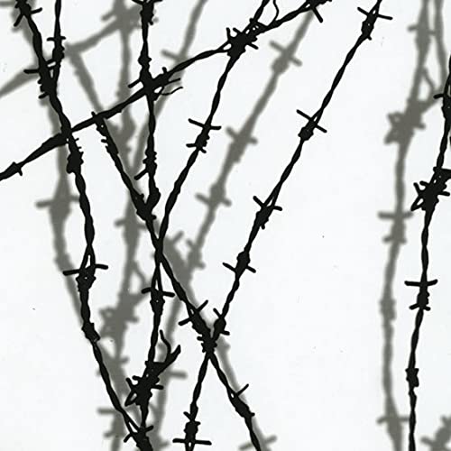 Water Transfer Printing Film - Hydrographic Film - Hydro Dipping - Shadow Barb Wire - LL-209