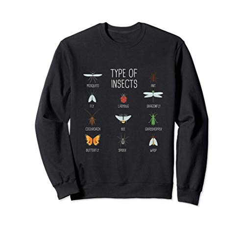 Types d'insectes I Identification des insectes I Coléoptères Sweatshirt