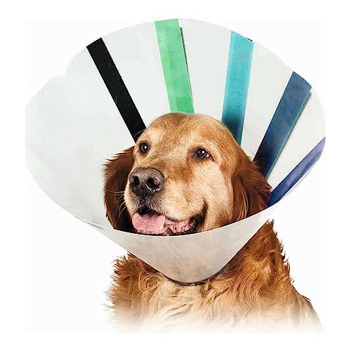 Image of KVP EZ Clear Dog Recovery Collar, L Size Fits 13 inch to 16 inch Neck /9.25 inch Depth