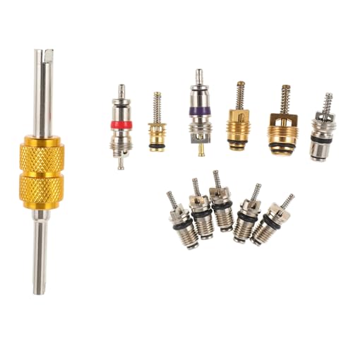 Kit 12pc para extracción núcleo de válvula A/C automotriz