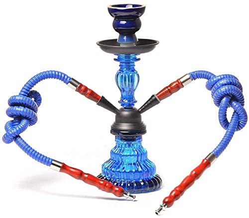 XJHYJS Acrylhaare Shisha Set Mit 2 Schläuchen, Tabakschlauch Kit Wasserleitung Rauchen (kein Nicotine) Shisha Zubehör…