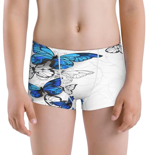 Boys' Cotton Boxer Brief Soft Underwear-Blue Flying Butterflies