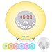 SOLLED New Wake Up Light, Sunrise Alarm Clock with Nature Sounds, FM Radio, Touch Control and USB Charger, Sunrise Simulator Alarm Clock