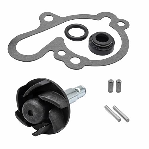 RowGlow joint de pompe a eau pour Minarelli am6, Kit Réparation carter pompe à eau Turbine Axe Pions pour MBK Xlimit Xpower DT RS XP6-XPS Beta Rieju TZR Sherco