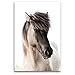Produktbild Premium Textil-Leinwand 80 x 120 cm Hoch-Format Islandpferdeporträt | Wandbild, HD-Bild auf Keilrahmen, Fertigbild auf hochwertigem Vlies, Leinwanddruck von Angelika Beuck