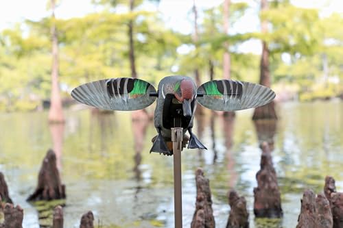 image for MOJO Outdoors Elite Series Green Wing Teal - Premium Waterfowl and Duc
