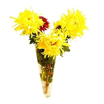 Amazon.co.jp: 円錐形のガラス壁掛けハンギングボトル花瓶クリア