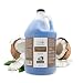 The Coat Handler Undercoat Control Dog Shampoo, 1 Gallon - Omega 3 & 6 Rich, Vitamin E, All Natural Ingredients, Soap and Cruelty Free