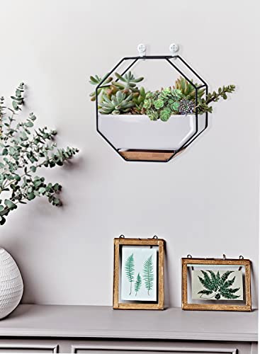 Chiree Succulent Planters 7×3.5 Inch Decorative Ceramic Flower Plant Pots With Metal Holder Hanging And Place Dual-Purpose Garden Planter Pot With Drainage And Saucer For Indoor Home Office Desktop #TOP4