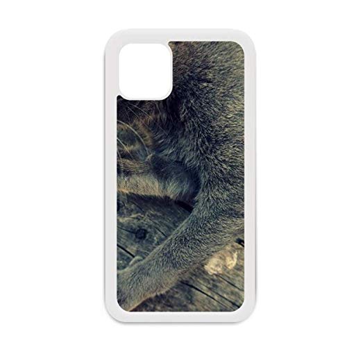 Coque iPhone 12 Pro Max chat gris antichoc en silicone