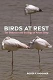 Birds at Rest: The Behavior and Ecology of Avian Sleep