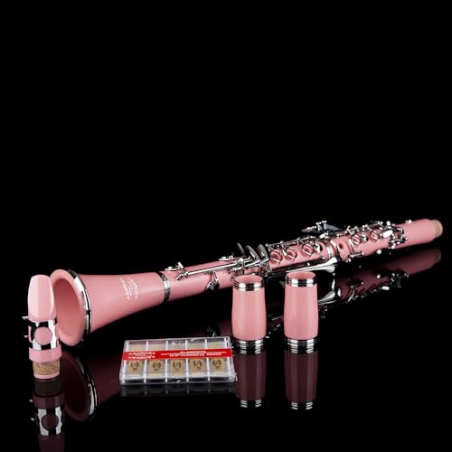 Image of Glory GLY-CLAPK Professional Ebonite Bb Clarinet with 10 Reeds, Stand, Hard Case, Cleaning Cloth, Mouthpiece Brush and Pad Brush,Pink /Silver