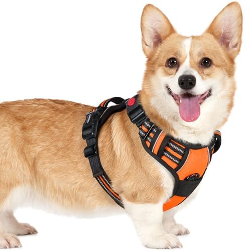 rabbitgoo Hundegeschirr Kleine Hunde Leichtes Anlegen, S, Orange | Anti Zug, Ohne Kopfdurchzug, Halsverschluss mit Sicherung, 2 D-Ringe, Weich Gepolstert, Reflektierend für Gassi &
