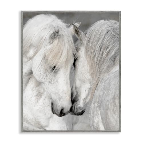 'Hugging Horse Duo Wildlife'| Framed Giclee Art