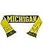 FOCO NCAA Split Logo Scarf