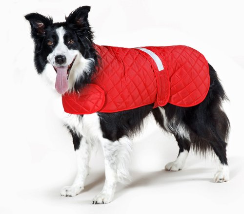 Cosipet anorak de sécurité pour chien veste imperméable vent