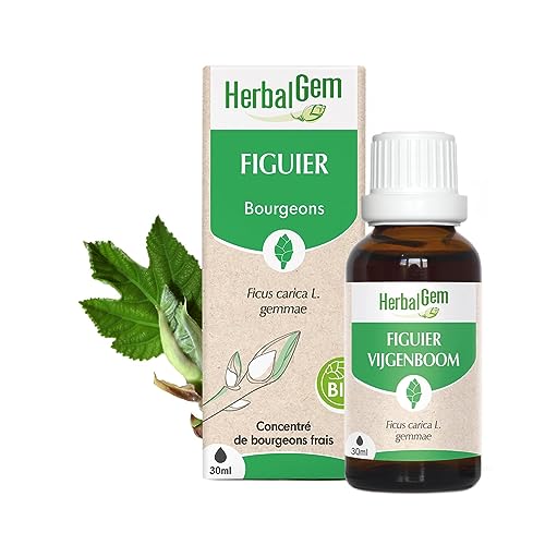 HERBALGEM - Macérât-Mère - Figuier Bio - Complément Alimentaire Gemmothérapie Concentrée - Extrait De Bourgeon Frais - Pour Digestion - Vegan - 30 ml