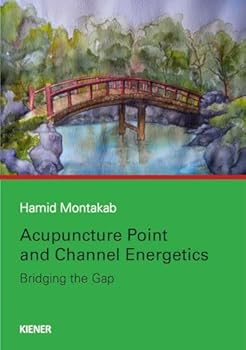 Hardcover Acupuncture Point and Channel Energetics: Bridging the Gap Book