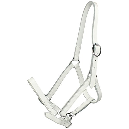 Licol poulain cuir de prestige blanc COB aux finitions artisanales