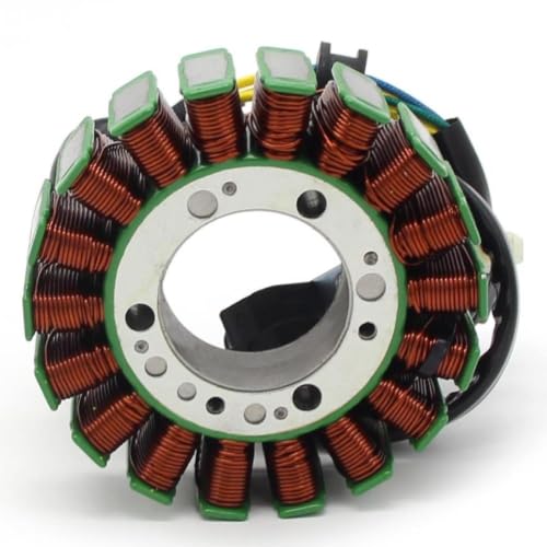 Estator de encendido S31120RCA000 compatible con DS 250 2008-2016 2