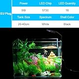 Adiwo B0CLY1N51C lato 4