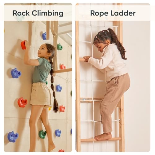 Image of Curious Cub Jungle Gym for Kids Indoor | Kids Gym Play Set | Contains Monkey Bar, Gymnastics Ring, Disk Swing, Rope Ladder for Kids to Play Indoor Fun Activity for Ages 4+