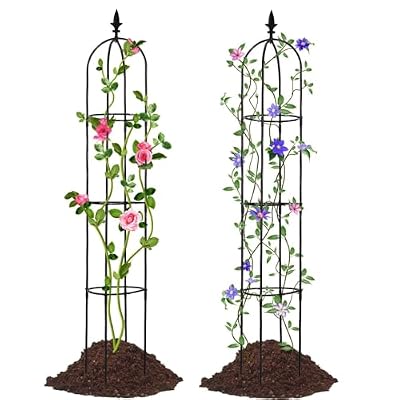 Lalahoni Garden Trellis for Climbing Plants Outdoor, 2 Pack 6ft Tall Plant Trellis Support for Potted Plants Climbing Vine Rose Clematis Vegetable Cucumber Trellis, Garden Obelisk Trellis