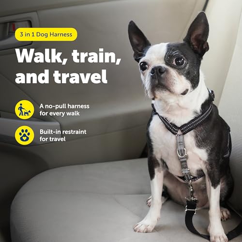 Image of PetSafe 3in1 Harness, Extra Small, Black